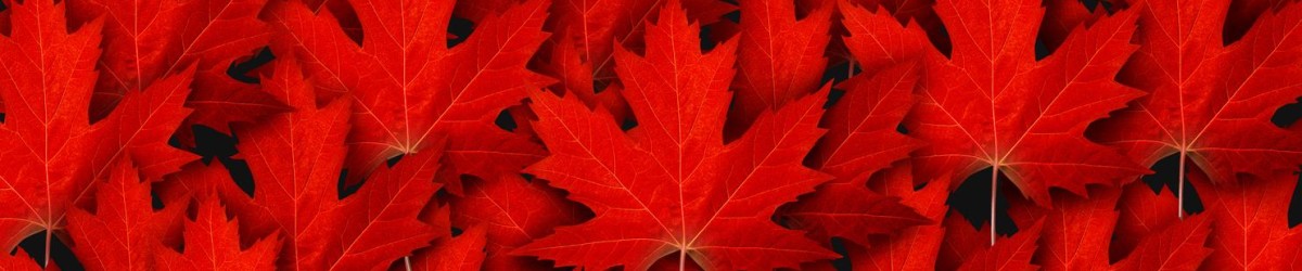 Sparks at Bank - Assessing the Buy Canadian movement one year later