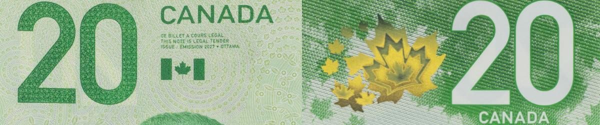 Chiffres sur fond contrasté du billet de 20 $ vertical Deux photographies du recto et du verso du billet de 20 $ vertical, dans les coins supérieurs de chacune. Les photos montrent les gros chiffres sur fond contrasté.