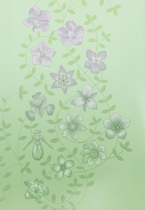 Image en gros plan des treize fleurs uniques figurant sur le billet de 20 $ vertical. Emblèmes floraux de chaque province et territoire, ces fleurs sont reliées entre elles par des tiges feuillées.