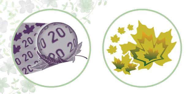 Deux éléments de sécurité du billet de 20 $ vertical : la bulle et les feuilles d’érable de couleur changeante. Deux cercles contenant des images en gros plan des éléments de sécurité du billet de 20 $ vertical. Le premier cercle contient le plan rapproché d’une bulle à l’intérieur de laquelle figurent des 20 grossis. Le deuxième cercle contient un gros plan des feuilles d’érable de couleur changeante, un autre élément de sécurité.