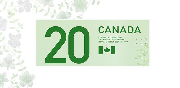 Éléments d’identification au recto du billet de 20 $ vertical. Gros plan de la partie supérieure du recto du billet de 20 $ vertical. Le gros plan montre le gros chiffre 20, le mot « Canada », un petit drapeau canadien et l’élément tactile.
