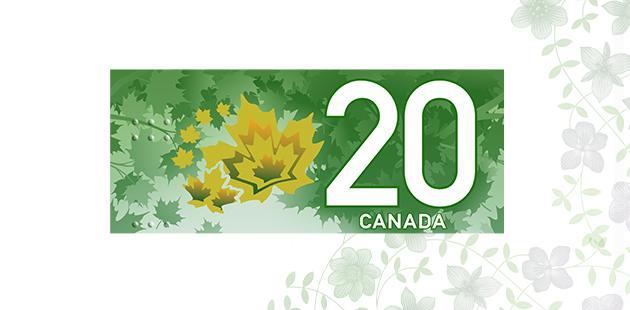Éléments d’identification au verso du billet de 20 $ vertical. Gros plan de la partie supérieure du verso du billet de 20 $ vertical. Le gros plan montre le gros chiffre 20, l’élément de sécurité des feuilles d’érable aux couleurs changeantes, le mot « Canada » et l’élément tactile.